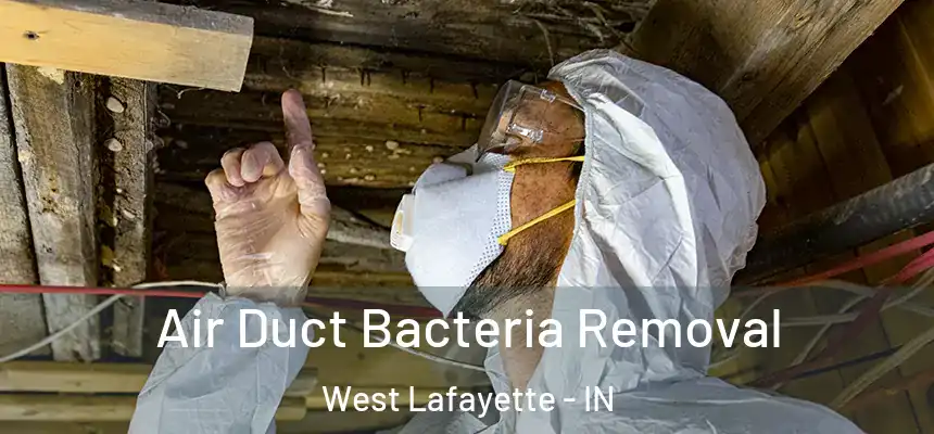  Air Duct Bacteria Removal West Lafayette - IN
