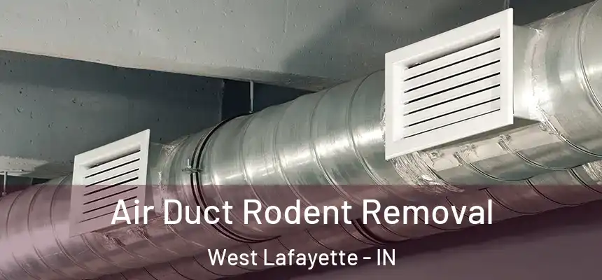 Air Duct Rodent Removal West Lafayette - IN