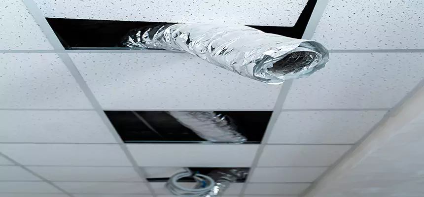 Affordable HVAC Sanitizing After Pest Removal in West Lafayette