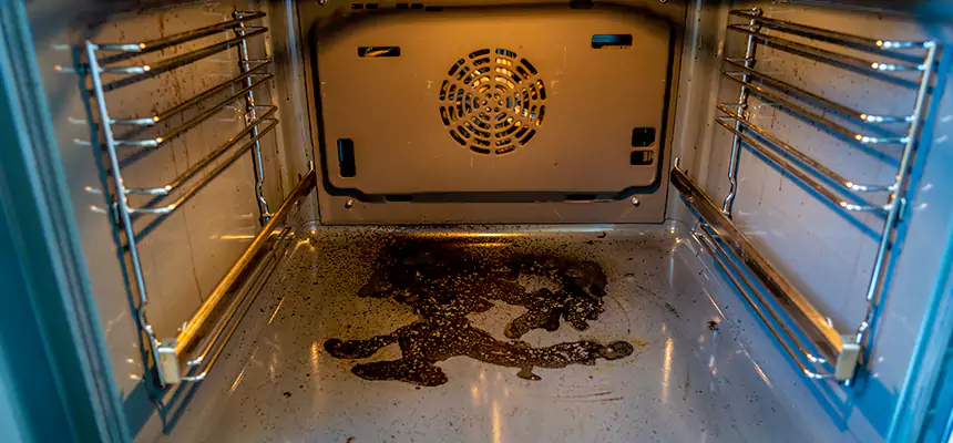 Our Dryer Vent Mold Cleaning Services in West Lafayette, IN