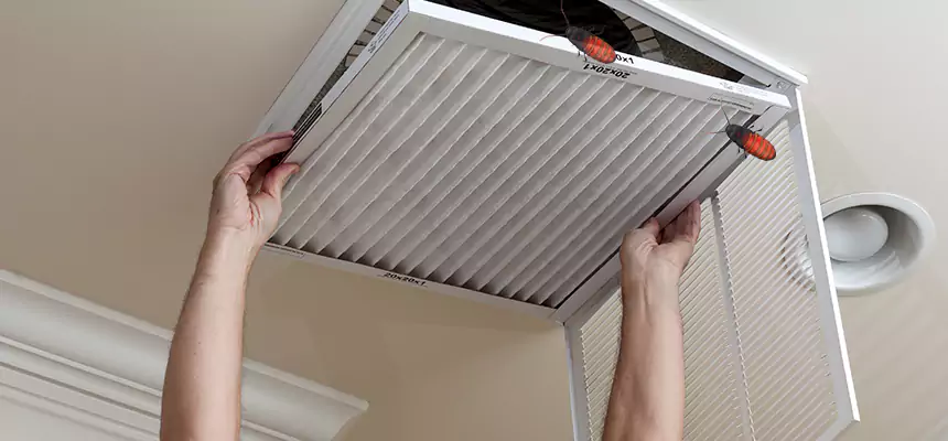 Our Insect Removal from Air Ducts Services in West Lafayette, IN