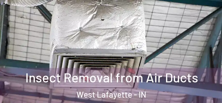  Insect Removal from Air Ducts West Lafayette - IN