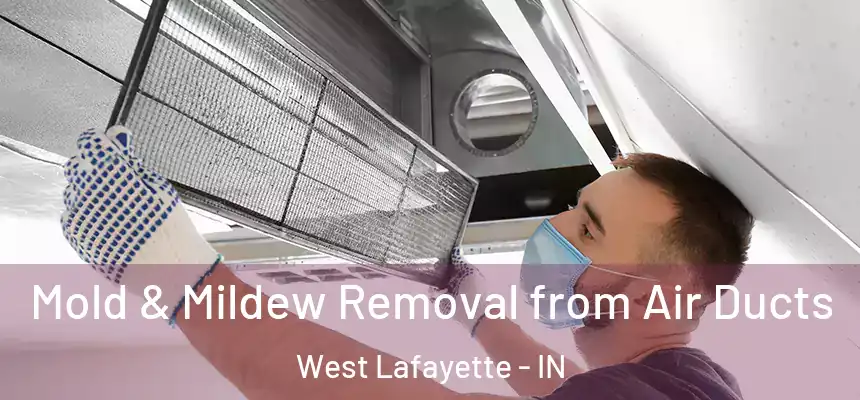  Mold & Mildew Removal from Air Ducts West Lafayette - IN