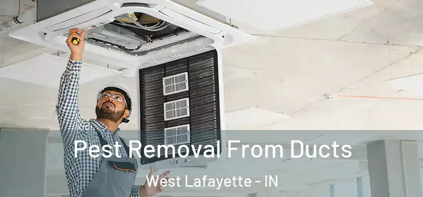  Pest Removal From Ducts West Lafayette - IN