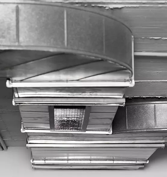 Professional Air Duct Pet Hair Removal in West Lafayette, IN