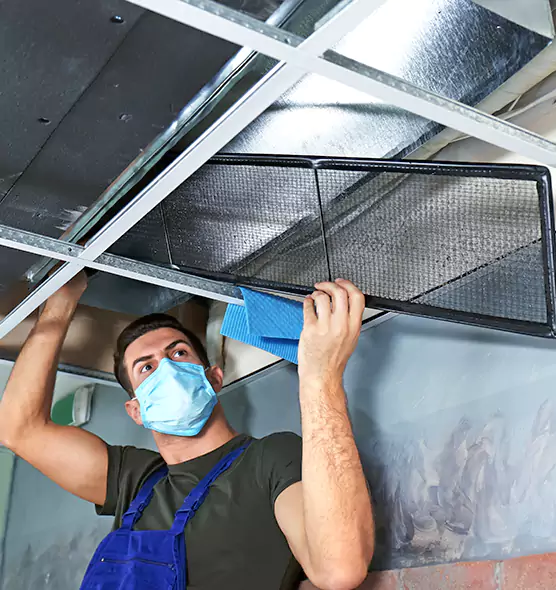 Professional Air Duct Pollen Cleaning in West Lafayette, IN