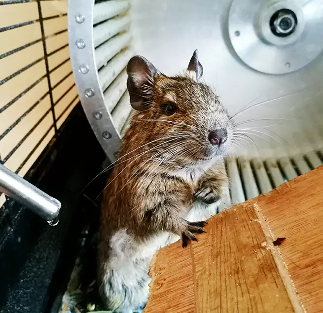 Why Homeowners & Businesses Trust Us West Lafayette, IN